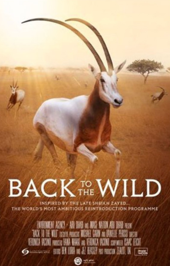 Back to the Wild / 2018