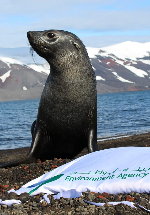 Zayed's Antarctic Lights / 2018